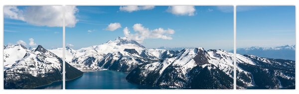 Obraz - Garibaldi Park (170x50 cm)