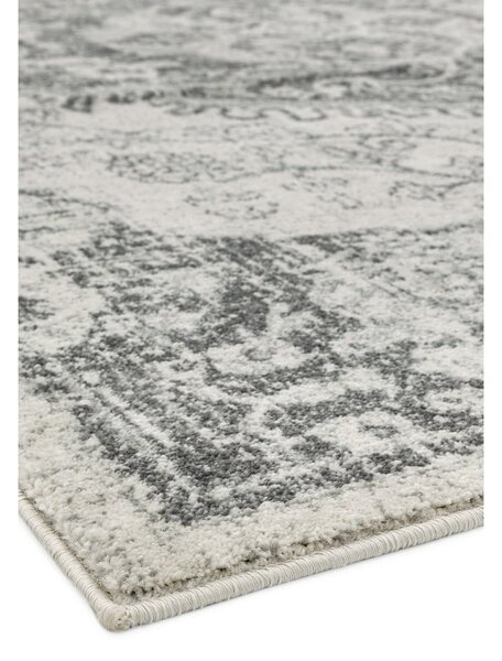Šedo-krémový koberec 160x230 cm Nova – Asiatic Carpets