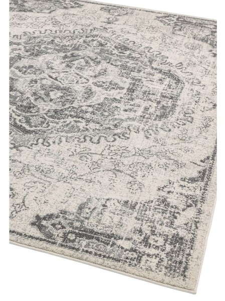 Šedo-krémový koberec 160x230 cm Nova – Asiatic Carpets