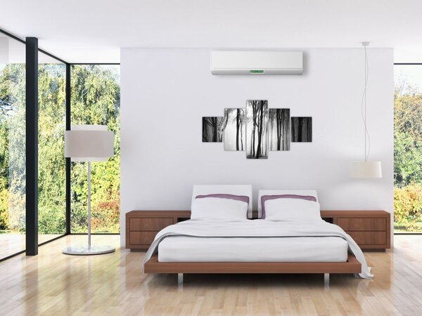 Obraz - Vlk v temném lese (125x70 cm)