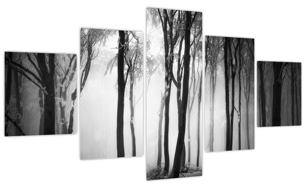 Obraz - Vlk v temném lese (125x70 cm)