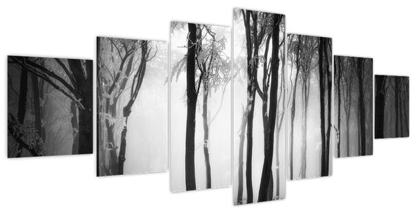 Obraz - Vlk v temném lese (210x100 cm)