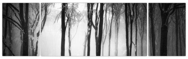 Obraz - Vlk v temném lese (170x50 cm)