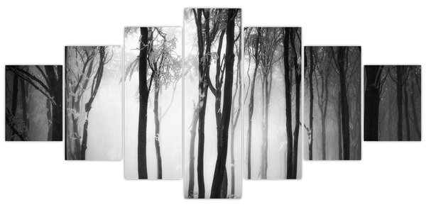 Obraz - Vlk v temném lese (210x100 cm)
