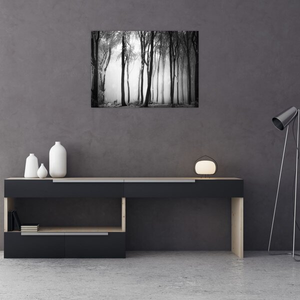 Obraz - Vlk v temném lese (70x50 cm)