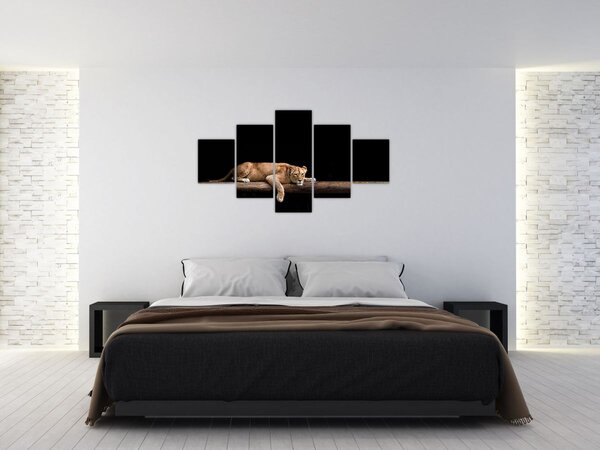 Obraz - Lvice (125x70 cm)