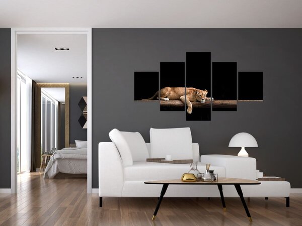 Obraz - Lvice (125x70 cm)