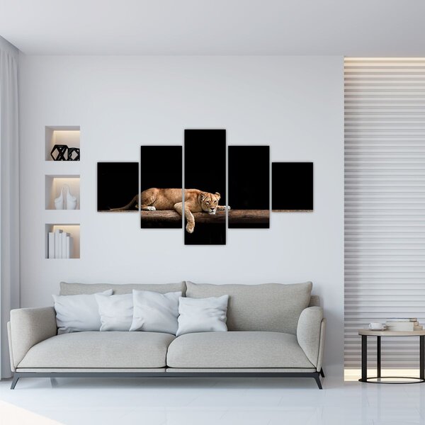 Obraz - Lvice (125x70 cm)