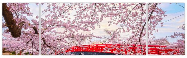 Obraz - Hirosaki, Japonsko (170x50 cm)
