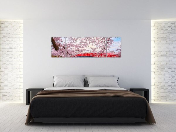 Obraz - Hirosaki, Japonsko (170x50 cm)