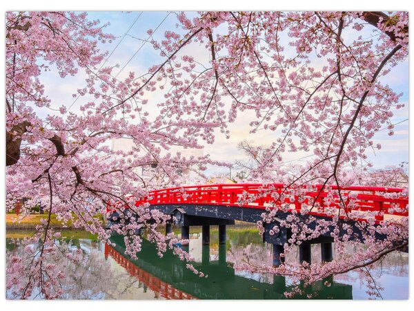 Obraz - Hirosaki, Japonsko (70x50 cm)
