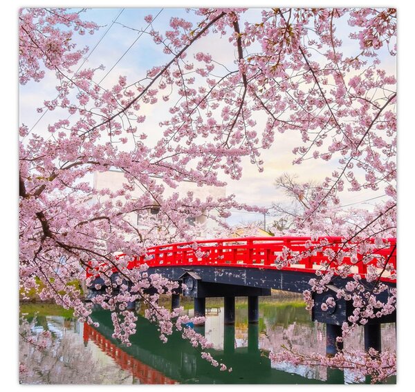 Obraz - Hirosaki, Japonsko (30x30 cm)