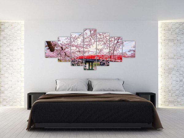 Obraz - Hirosaki, Japonsko (210x100 cm)