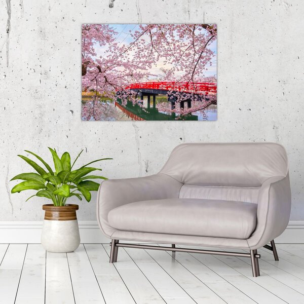 Obraz - Hirosaki, Japonsko (70x50 cm)