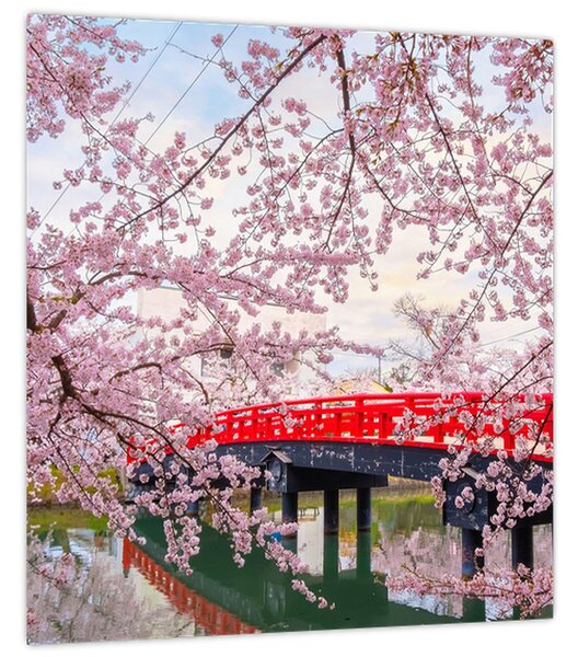 Obraz - Hirosaki, Japonsko (30x30 cm)
