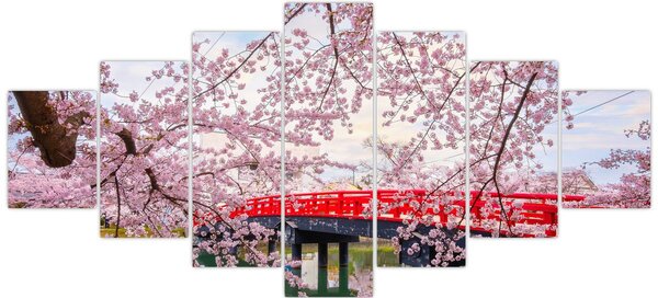 Obraz - Hirosaki, Japonsko (210x100 cm)