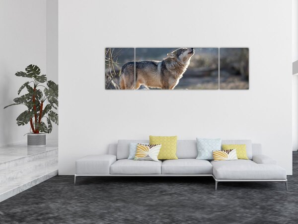 Obraz - Vyjící vlk (170x50 cm)