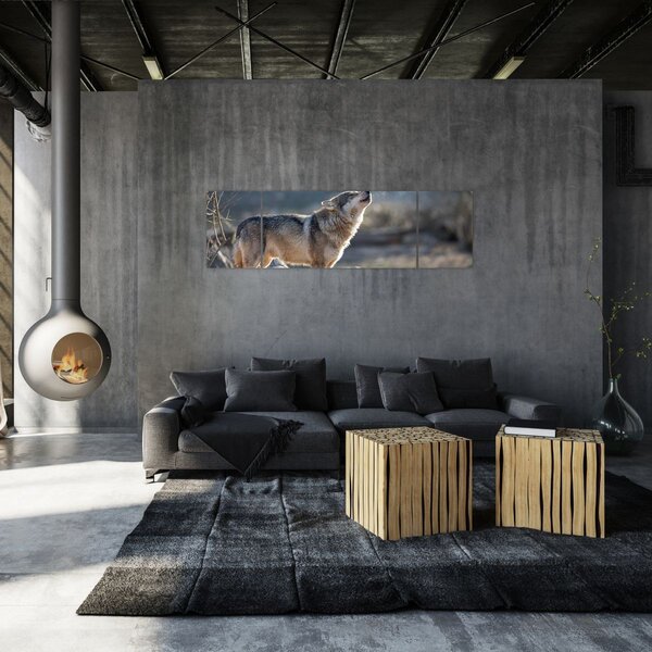 Obraz - Vyjící vlk (170x50 cm)