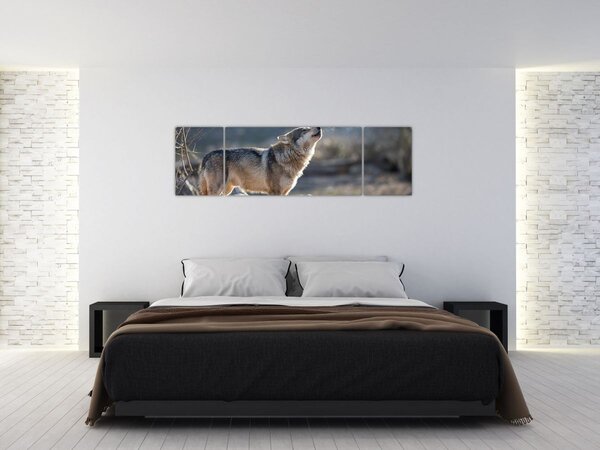 Obraz - Vyjící vlk (170x50 cm)