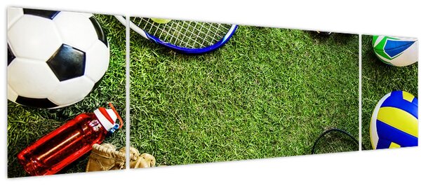 Obraz - Sport (170x50 cm)