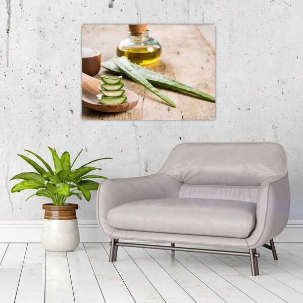 Obraz - Aloe vera (70x50 cm)