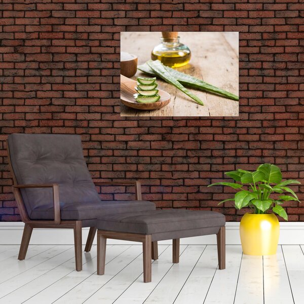 Obraz - Aloe vera (70x50 cm)