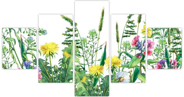 Obraz - Malované luční kvítí (125x70 cm)