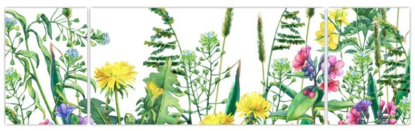Obraz - Malované luční kvítí (170x50 cm)
