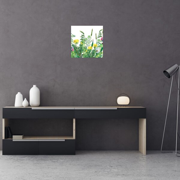 Obraz - Malované luční kvítí (30x30 cm)