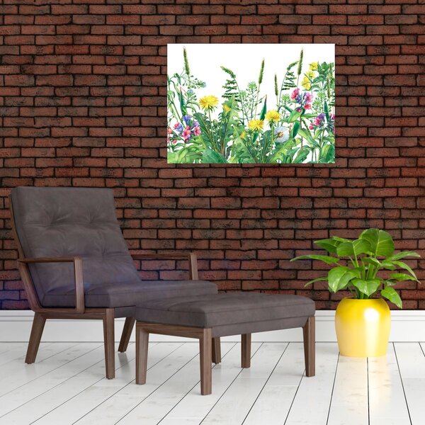 Obraz - Malované luční kvítí (70x50 cm)