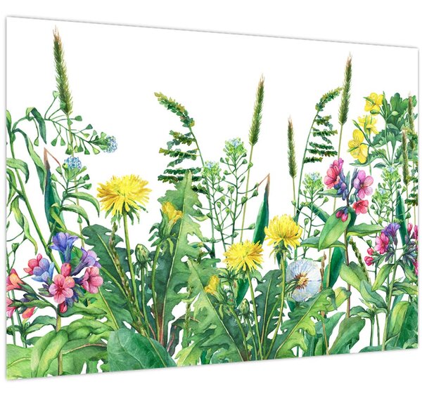 Obraz - Malované luční kvítí (70x50 cm)