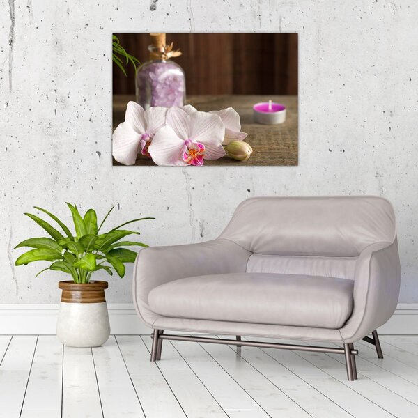 Obraz - Svíčka a orchideje (70x50 cm)