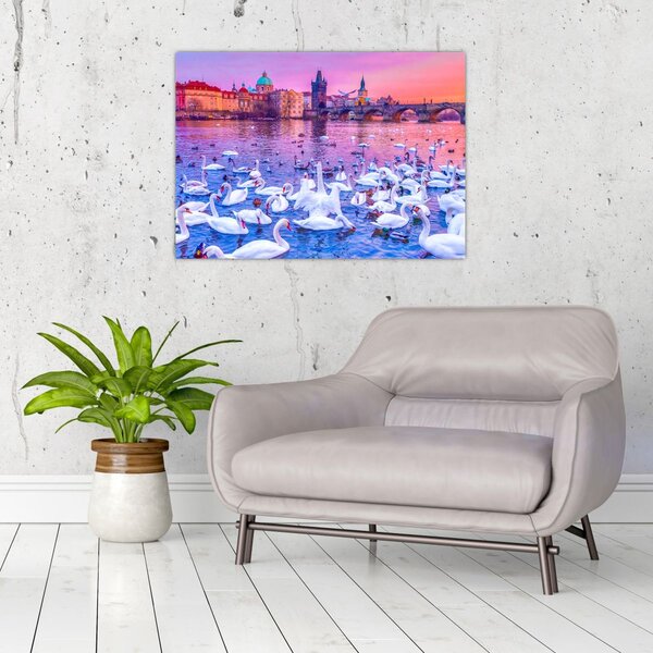 Obraz - Praha (70x50 cm)