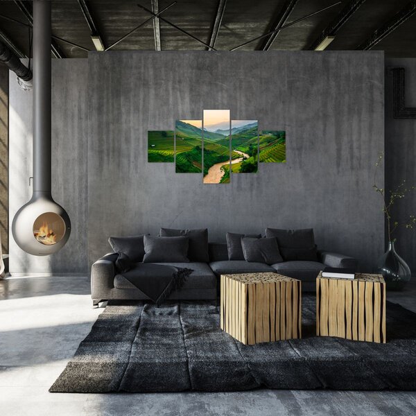 Obraz - Rýžové terasy II. (125x70 cm)
