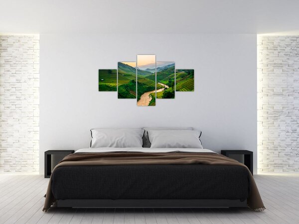Obraz - Rýžové terasy II. (125x70 cm)