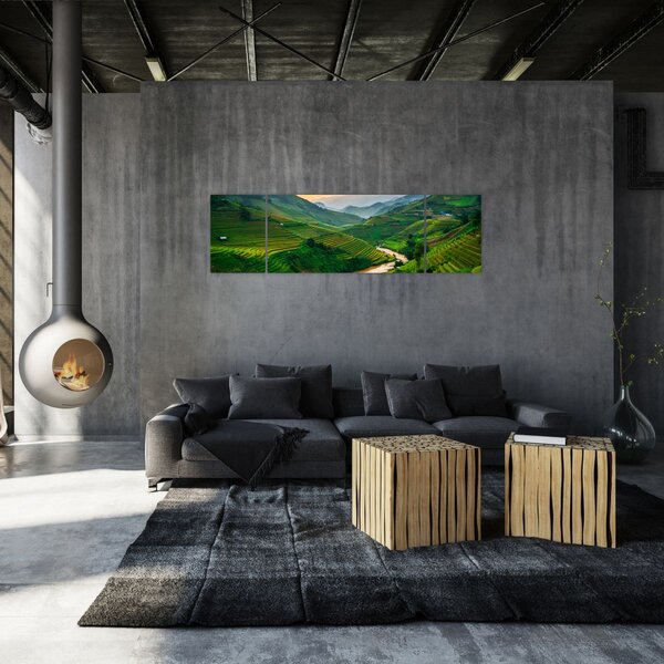 Obraz - Rýžové terasy II. (170x50 cm)