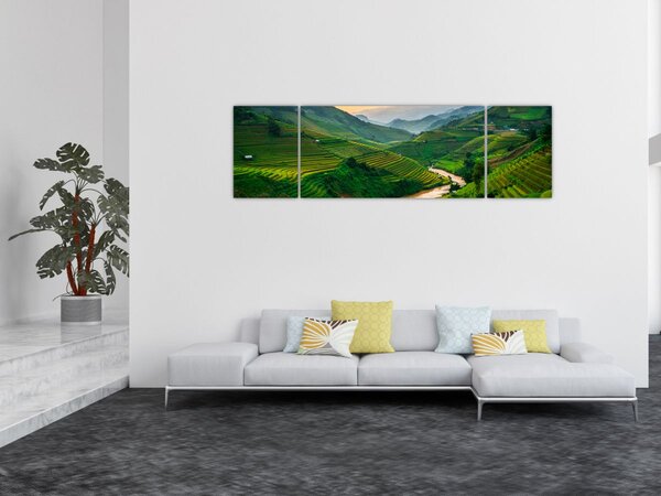 Obraz - Rýžové terasy II. (170x50 cm)