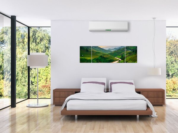Obraz - Rýžové terasy II. (170x50 cm)