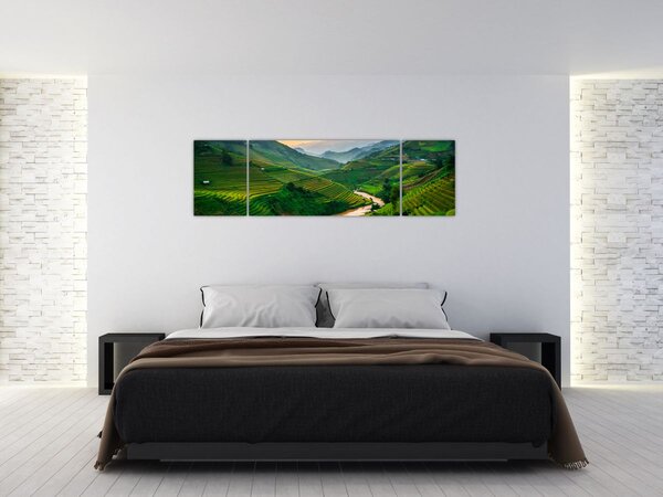 Obraz - Rýžové terasy II. (170x50 cm)