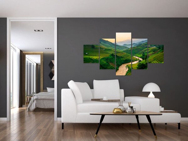 Obraz - Rýžové terasy II. (125x70 cm)
