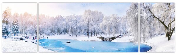 Obraz - Ledové jezero (170x50 cm)