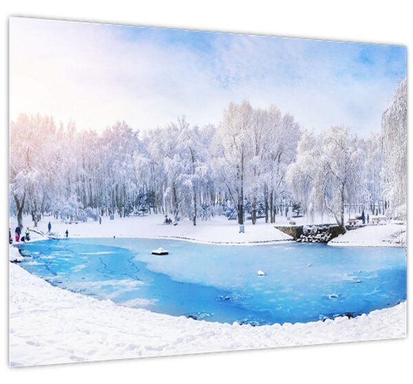Obraz - Ledové jezero (70x50 cm)