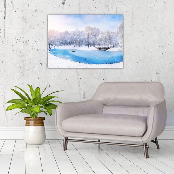 Obraz - Ledové jezero (70x50 cm)