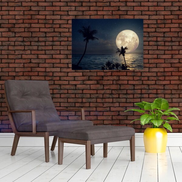 Obraz - Pláž s úplňkem (70x50 cm)