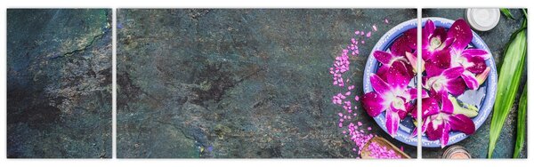 Obraz - Wellness (170x50 cm)