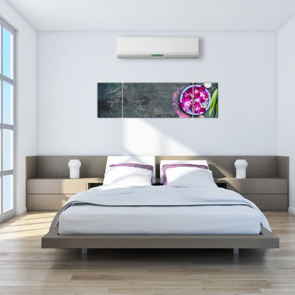 Obraz - Wellness (170x50 cm)