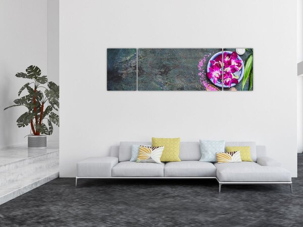 Obraz - Wellness (170x50 cm)