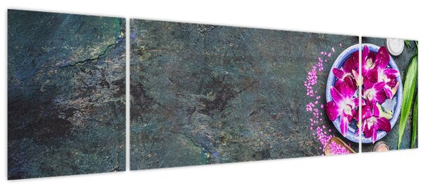 Obraz - Wellness (170x50 cm)