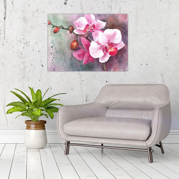 Obraz - Orchideje, aquarel (70x50 cm)