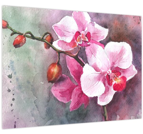 Obraz - Orchideje, aquarel (70x50 cm)